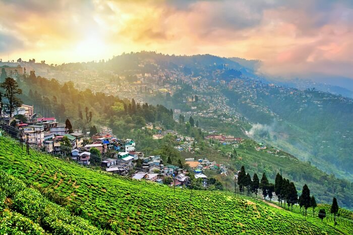 Darjeeling Tour