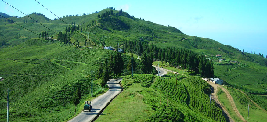 Darjeeling With Kalimpong Tour