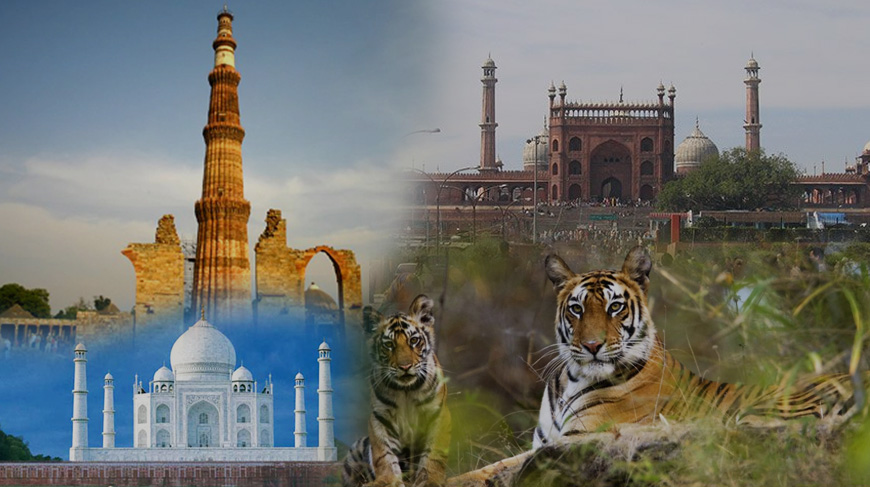 manufacturers of Golden Triangle with Safari  in Kirti Nagar, Delhi